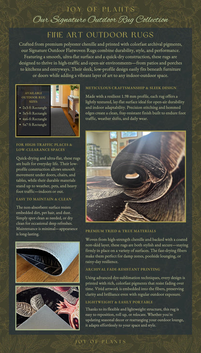 a brochure with a picture of a house